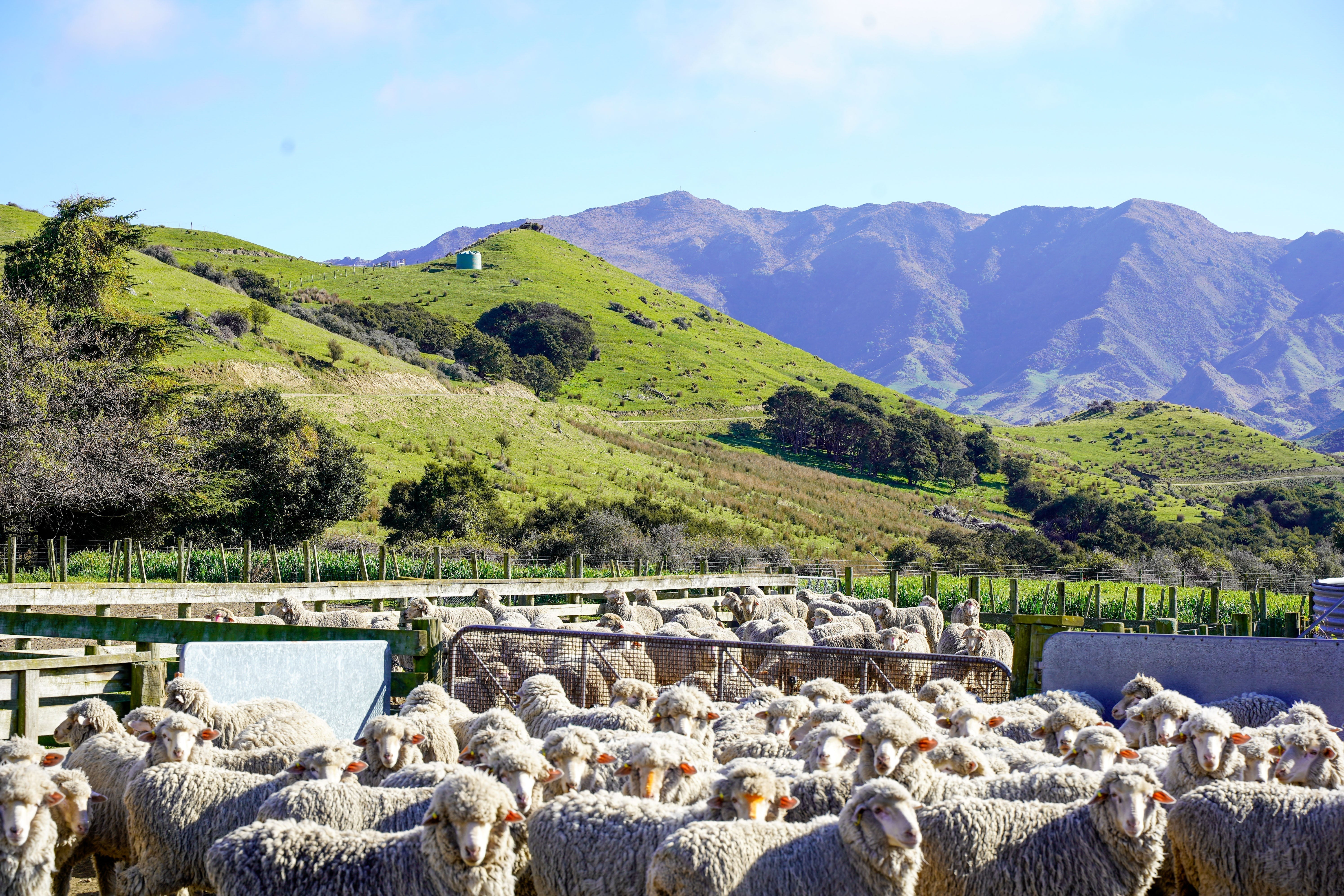 Country Calendar 2025