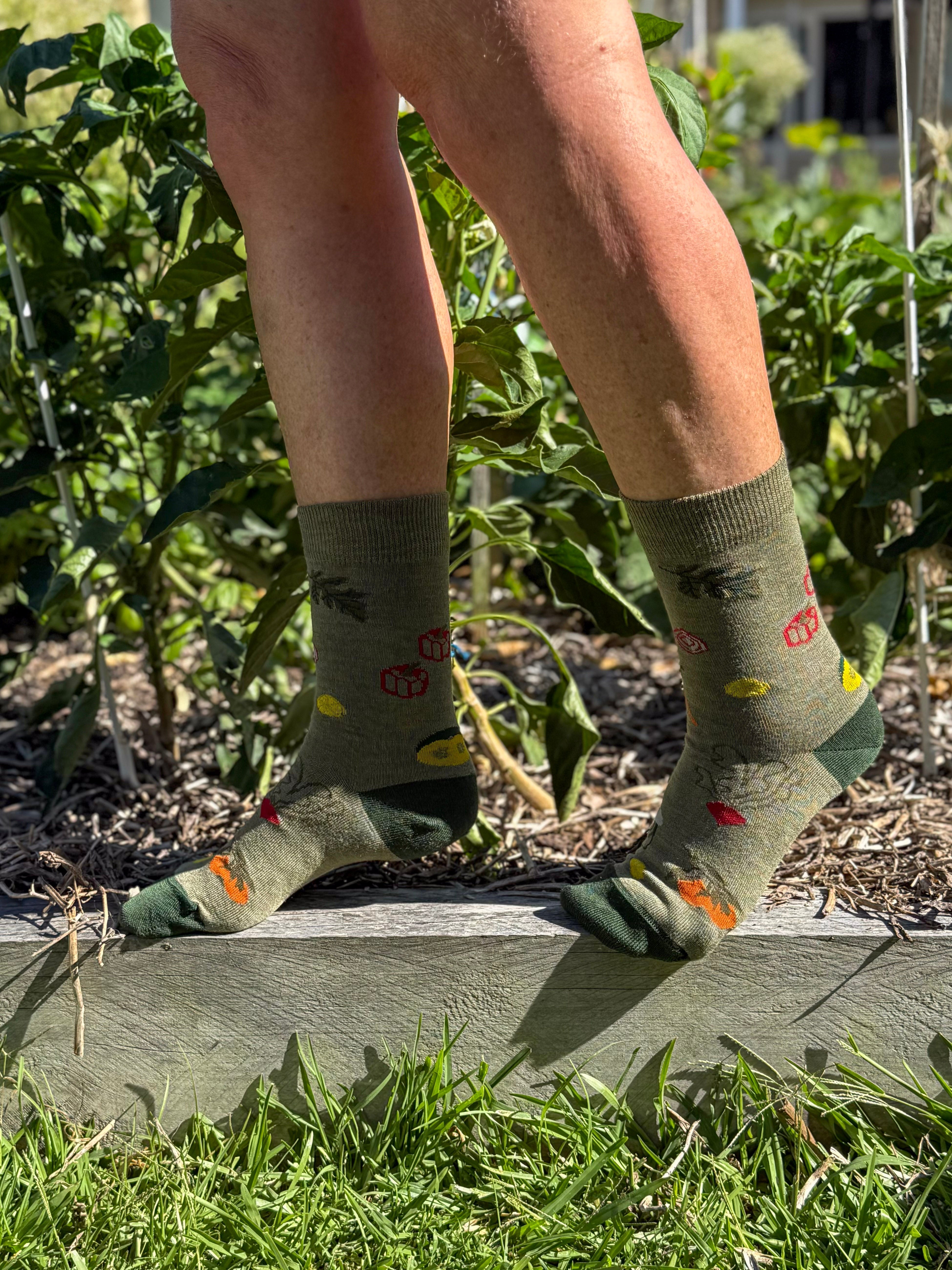 Our Recent School Visit with Garden to Table